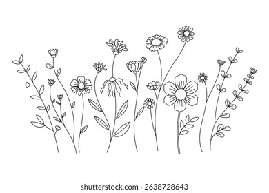 Line art illustration shows various kinds of flowers on white background in a minimalistic botanical style.
