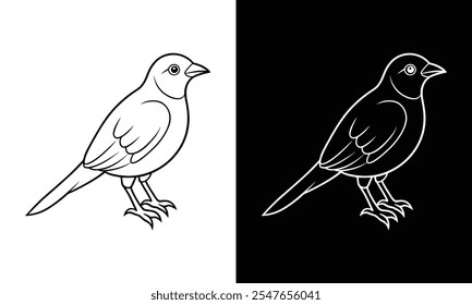 Line Art Illustration of a Standing Small Bird