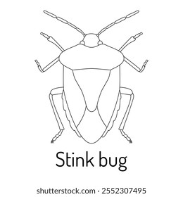 Ilustración de arte lineal de un bicho apestoso en un estilo detallado y simétrico. Perfecto para uso científico, estudios de insectos, proyectos de entomología, páginas para colorear y materiales educativos.