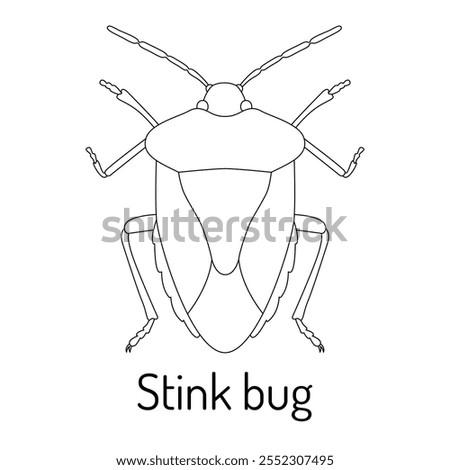 Line art illustration of a stink bug in a detailed and symmetrical style. Perfect for scientific use, insect studies, entomology projects, coloring pages, and educational materials.