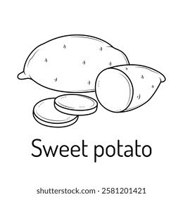 Line art illustration of sweet potato with slices. Minimalistic black-and-white drawing perfect for culinary, educational, or decorative uses. Ideal for food-related designs and vector art.