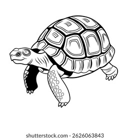 A line art illustration of a tortoise in black and white. Perfect for educational materials, coloring pages, and nature-themed designs.