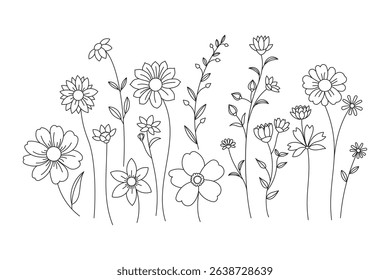 Line art illustration of various wildflowers and botanicals creating a whimsical meadow feel nature.