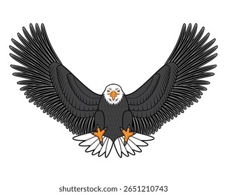 Line art Illustration vector front view of bald Eagle in flying catch action drawing in colorful 