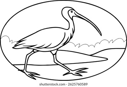 Line Art Illustration Of White Ibis Bird Walking Near Water In Oval Frame