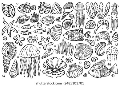 Line art illustrations of underwater creatures. Hand drawn outline fishes, shells, medusas, sea stars, sea plants and more. Aquatic vector illustrations with black thin line