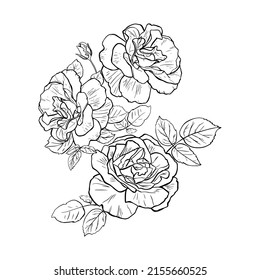 Line art invitation with hand drawn roses on white background. Simple vector illustration. Botanical print.