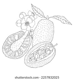 Cachorro de arte en línea y flor. Ilustración vectorial sobre fondo blanco.
