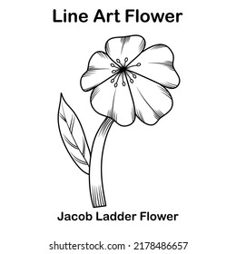 Line art Jacob ladder  flower