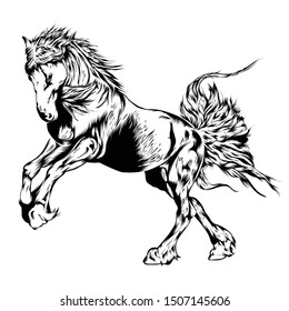 Line Art Jumping Horse Vector