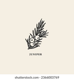 Line art juniper branch illustration