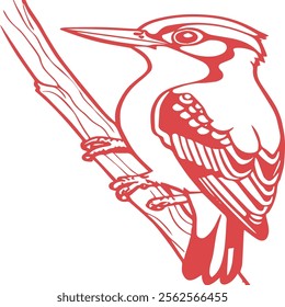 line art kingfisher bird with color