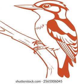 line art kingfisher bird design with colorful