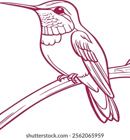 line art kingfisher art with color