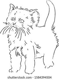 line art of a kitten, black and white
