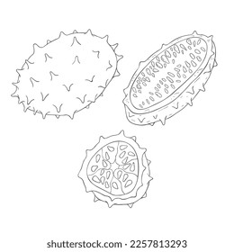 Line Art Kiwano Fruit. Vector Illustration on white Background.