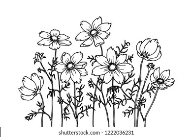 Line art with kosmey. Black wall art. Monochrome floral background wallpaper. Flower ornament good for web, print and stencil.