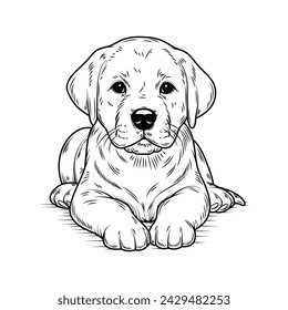 Ilustración de Labrador Retriever. Estilo de la tinta, animal lindo para la impresión. Vector silueta lineal. Relleno transparente, líneas negras. Aislado sobre fondo blanco