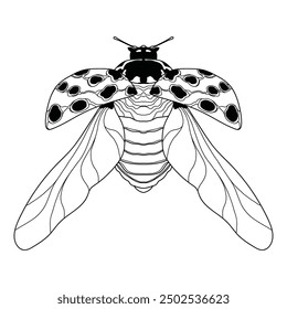 line art ladybug with open wings. adult coloring book picture