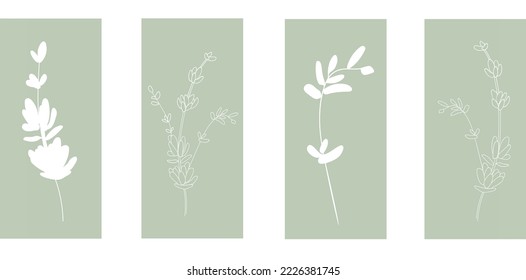 Lavanda de líneas sobre fondo verde. Ilustración vectorial floral. Silhouette de lavanda blanca. Francia presenta un diseño romántico. Plantilla de fondo con espacio para texto.