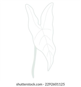 Line art leaf green color on white background 