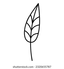 Line Art Leaf. Hand Drawn Outline Illustration