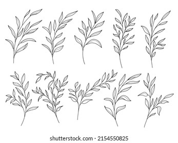 Line art leaf illustration vector on white background