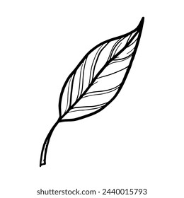 arte de la línea de la hoja aislada sobre fondo blanco, ilustración vectorial