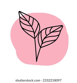 Line art leaf on pink circle background, design element for invitations, stickers, other design