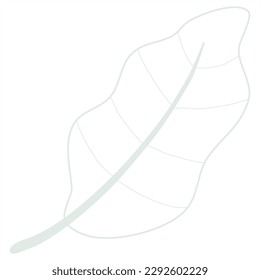 Line art leaf vector collection 