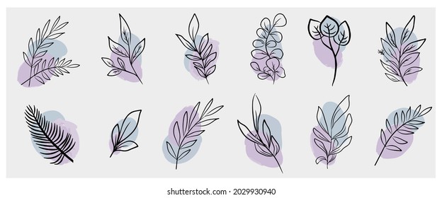 line art leaves with blue and violet circle for wedding invitation or card