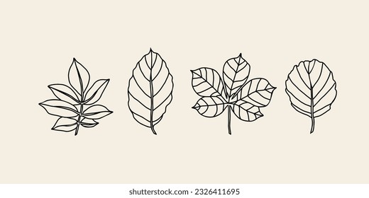 Line art leaves collection. Elder, beech, chestnut, alder svg