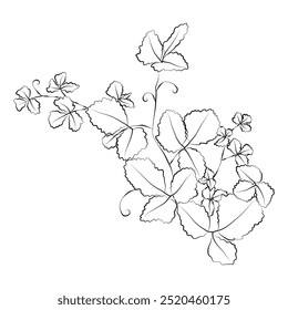 line art of leaves, floral illustration