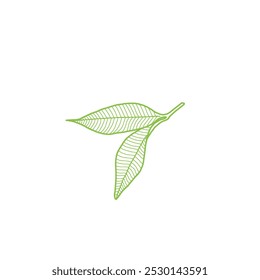 Line art of leaves in green, isolated on white background. 