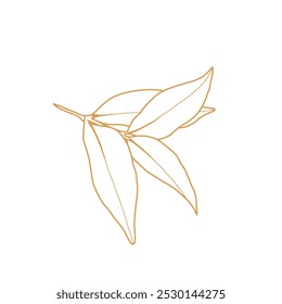 Line art leaves isolated on white background. 