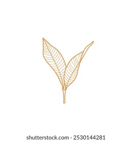 Line art leaves isolated on white background. 