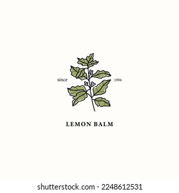 Line art lemon balm branch drawing