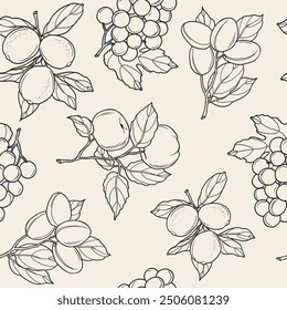 Line art lemon, grapes, plum, apple fruits background