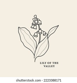 Line art lily of the valley illustration