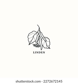 Line art linden twig illustration