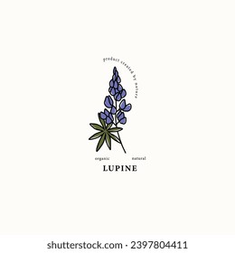 Line art lupin flower drawing