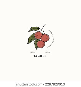 Line art lychee branch drawing