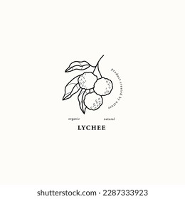 Line art lychee branch illustration