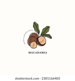 Line art macadamia nut drawing