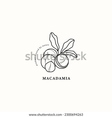 Line art macadamia nut illustration