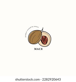 Line art mace spice drawing