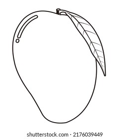 line art mango for illustration or artwork or more