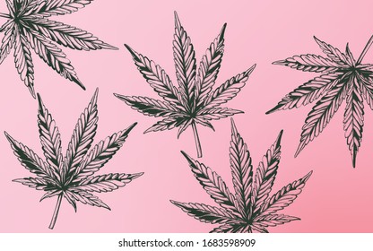 Line Art Marijuana Cannabis Leaves On Purple Background