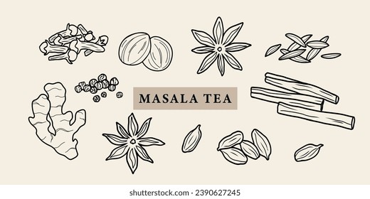 Line art masala tea spices illustration