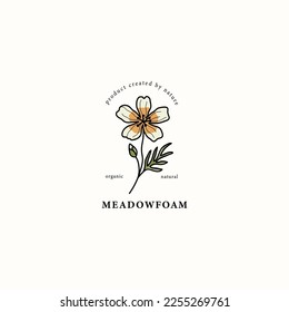 Line art meadowfoam flower drawing
